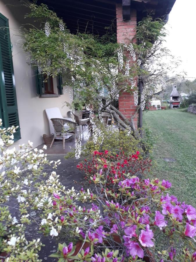 Gli Oleandri B&B Vaiano  Екстер'єр фото